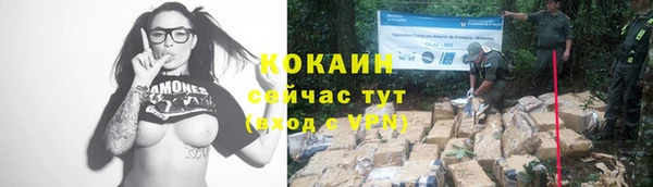 кокс Алексин
