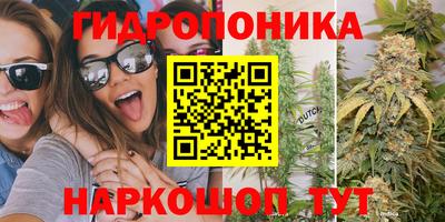 спиды Тверь