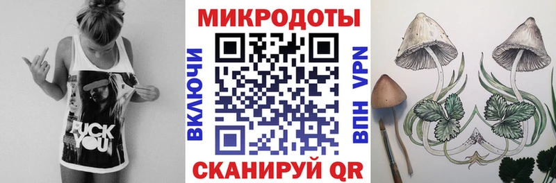 дарк нет какой сайт  Сафоново  Псилоцибиновые грибы мицелий 