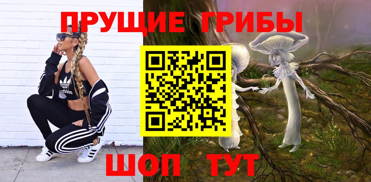 Сафоново  Псилоцибиновые грибы мицелий  Галлюциногенные грибы Psilocybe  Вход с VPN 