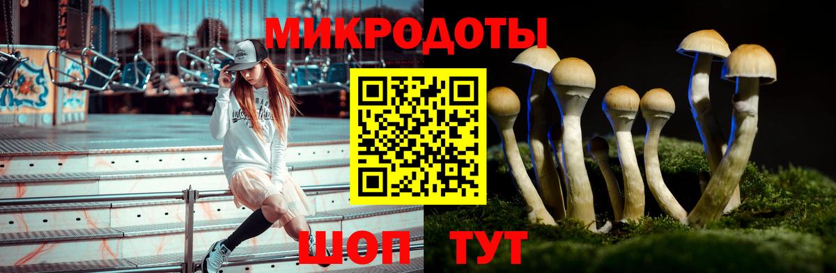 Псилоцибиновые грибы мухоморы Сафоново